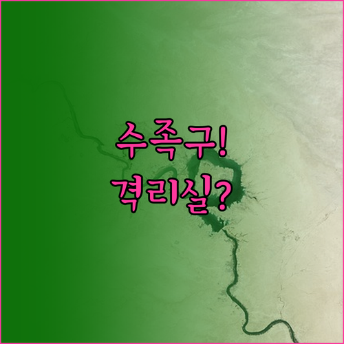 화성시 수족구 입원 가능 병원 및 격..