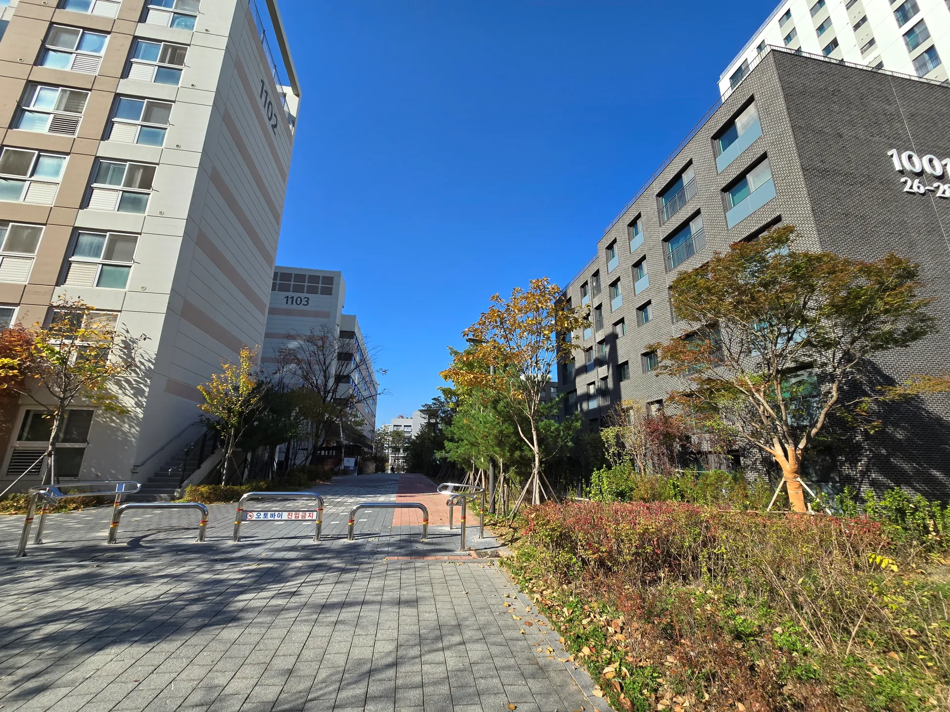 나란히 서있는 강동 리엔파크 11단지와 고덕 어반브릿지 1001동