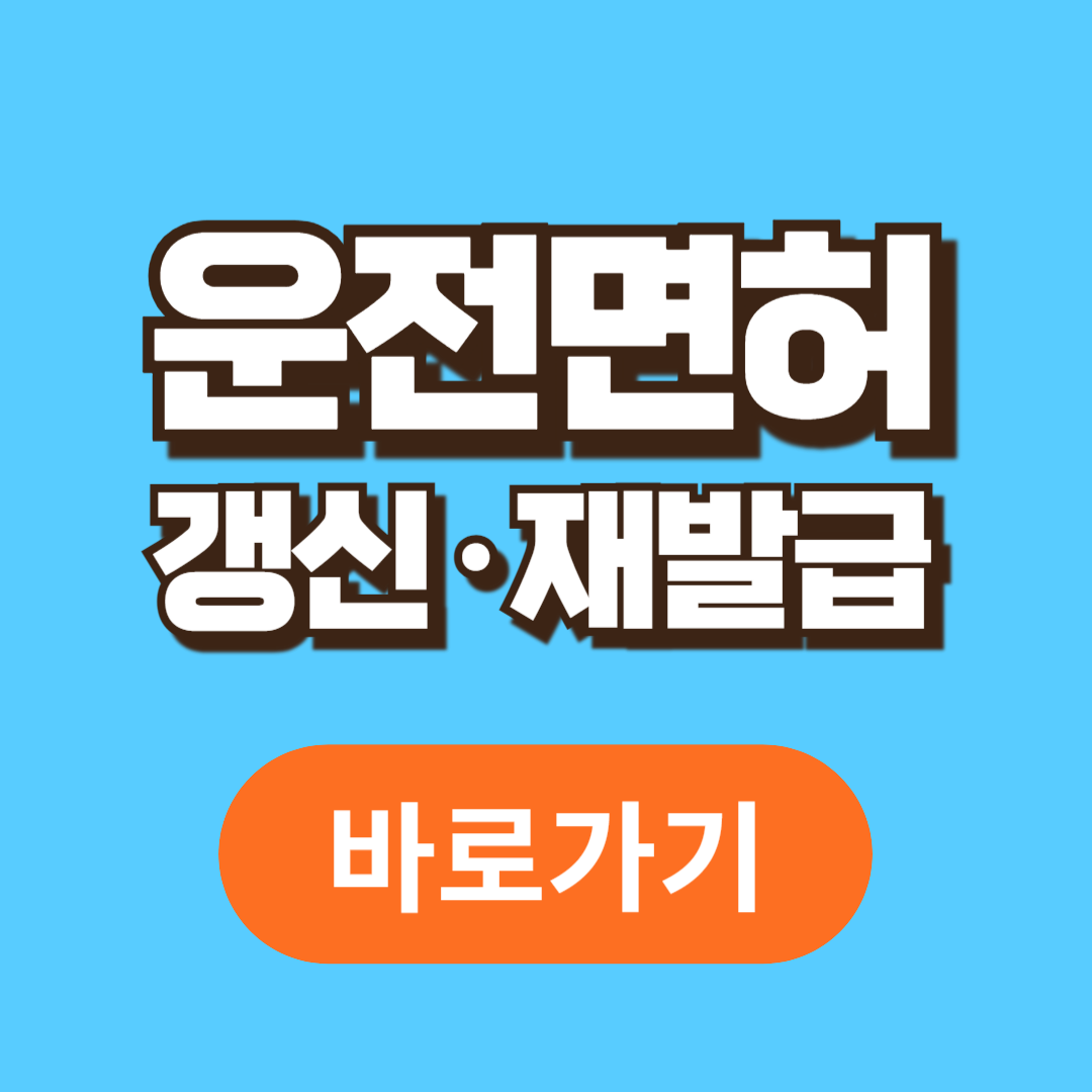 운전면허 재발급