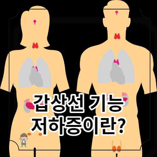 갑상선 기능 저하증 원인 증상 7가지 좋은식품
