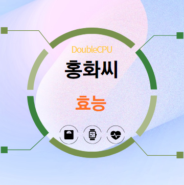 홍화씨 효능 탐구