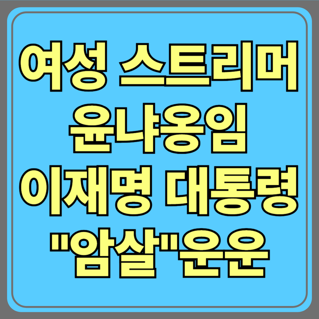 여성 스트리머 ‘윤냐옹임’, 이재명 대통령 “암살” 운운…왜 이런 발언을?