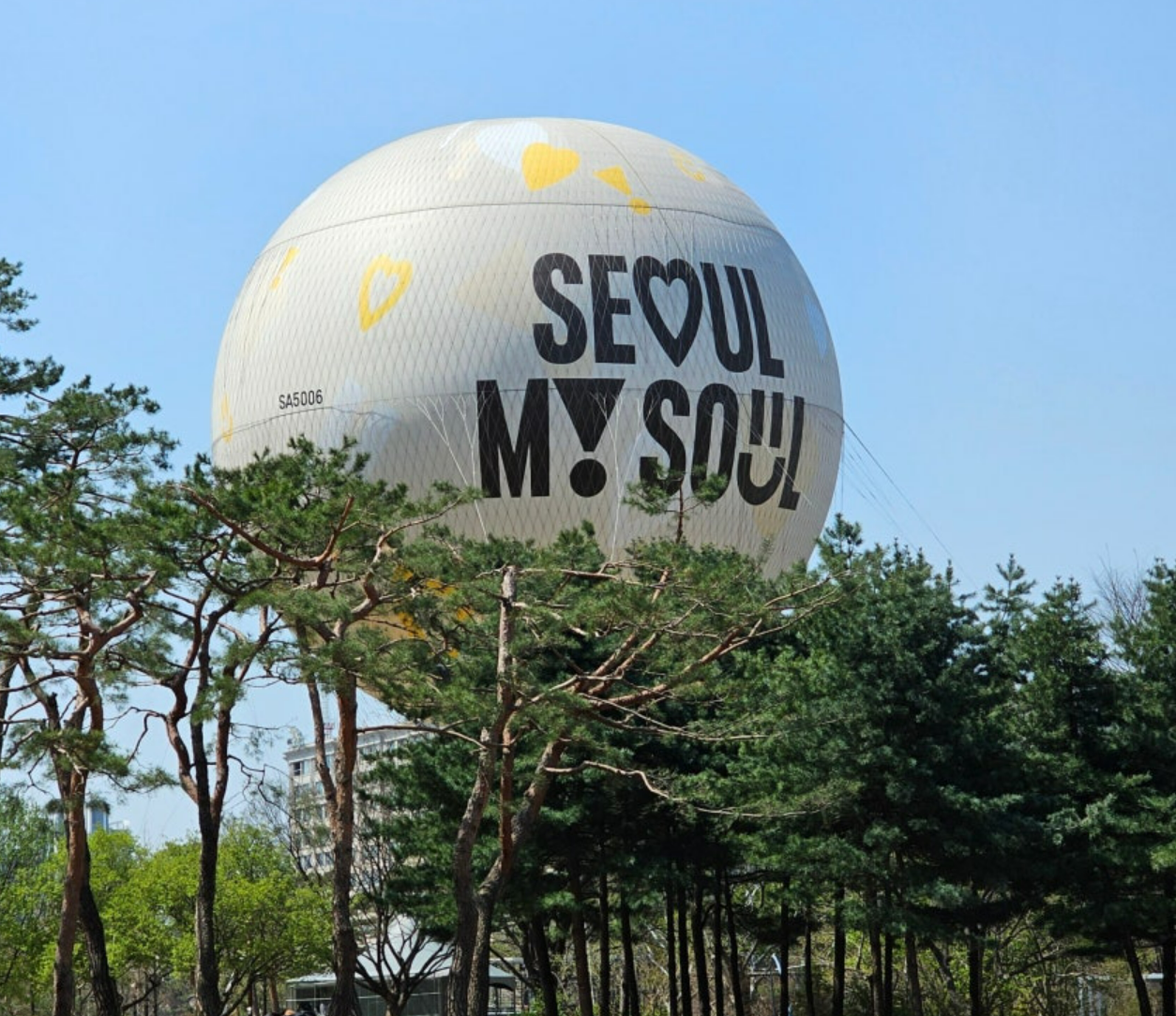 영등포 봄꽃축제(여의도 윤중로 벚꽃축제)