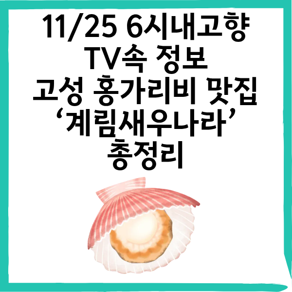 6시 내고향 소개된 고성 홍가리비 맛집 ‘계림새우나라’ 총정리
