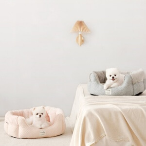 2023 반려인 능력시험