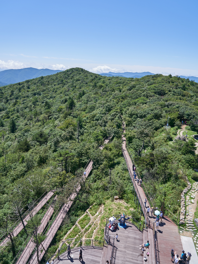 평창 가볼만한곳 베스트10