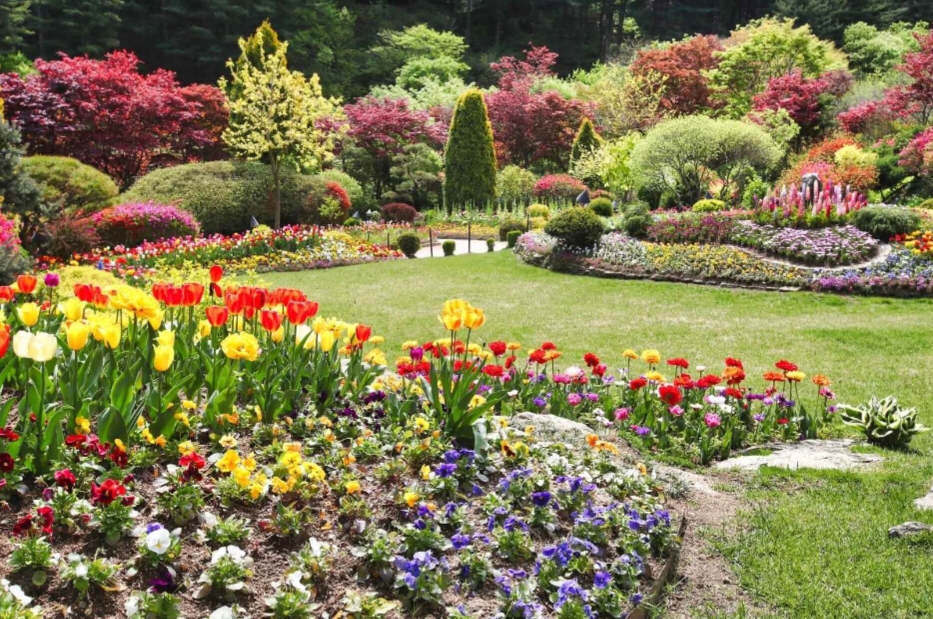 가평-봄꽃페스타-사진