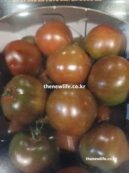 흑토마토 효능 영양성분 안토시아닌