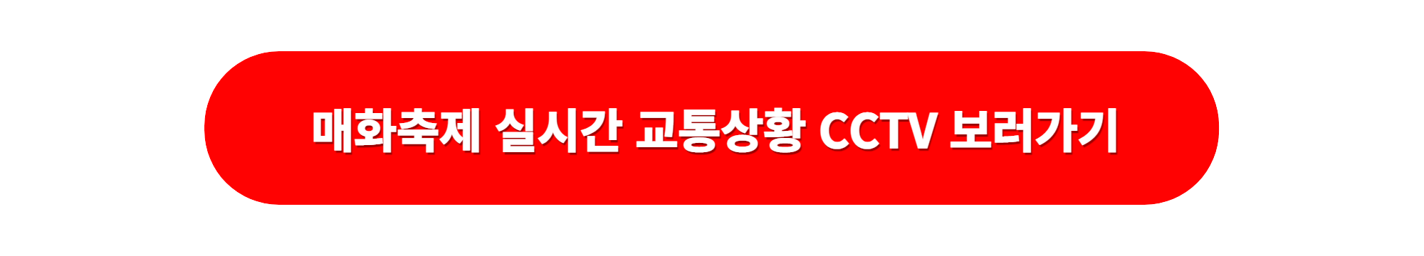 광양 매화꽃축제