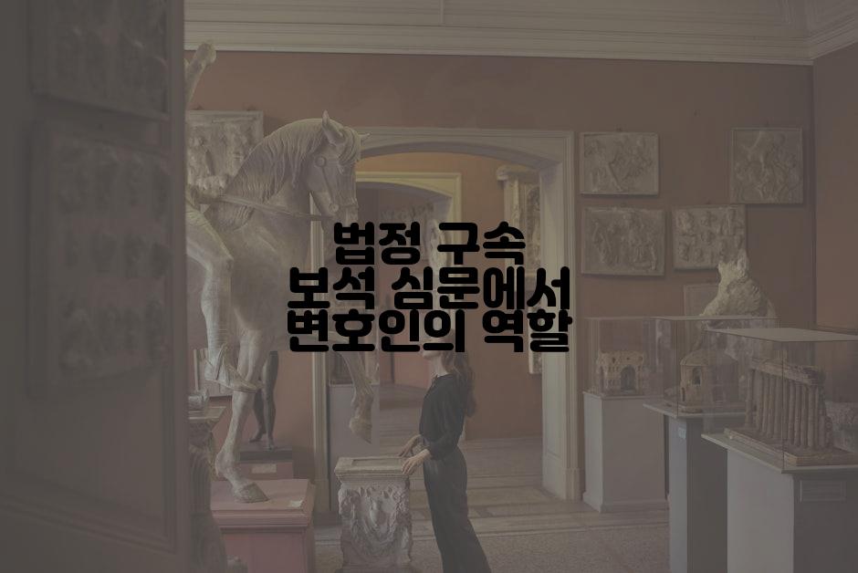 법정 구속 보석 심문에서 변호인의 역할