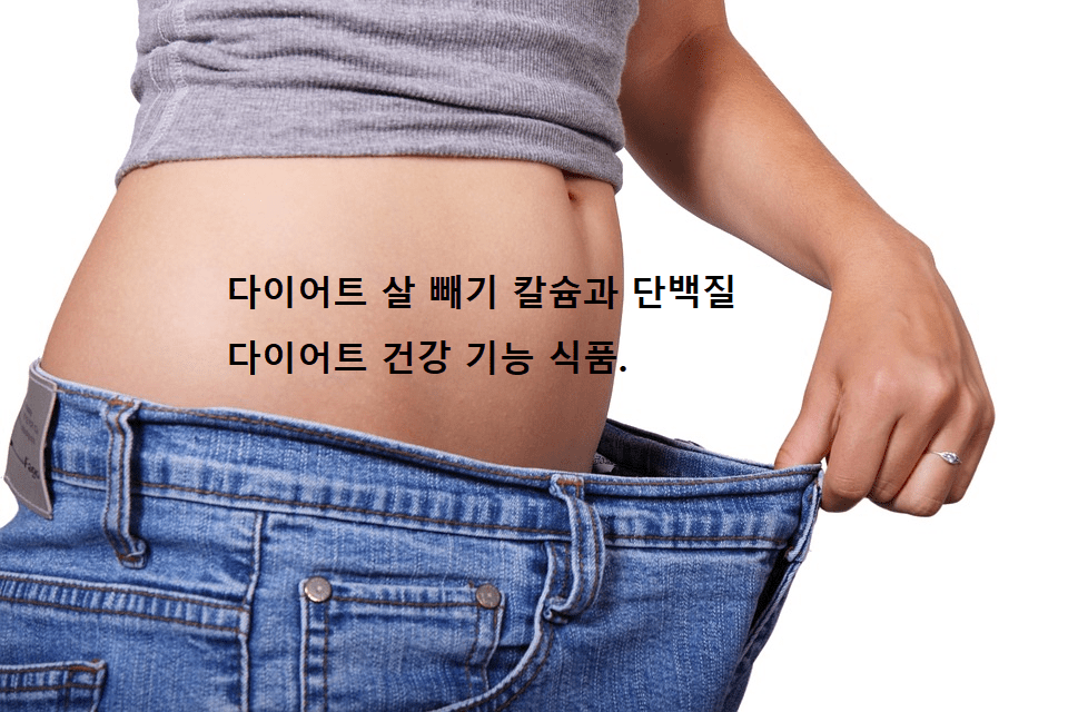 다이어트 살빼기