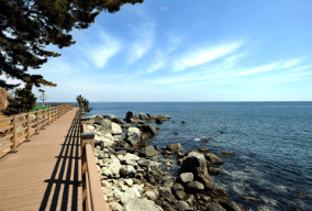 기차여행 단풍특선 추천