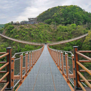 포천 Y자 출렁다리