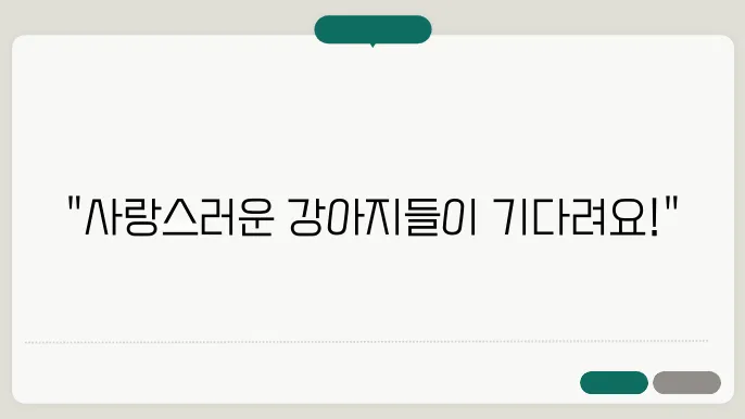 강아지 보호소의 실제 사례