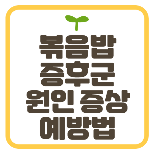 볶음밥 증후군 원인 증상 예방법