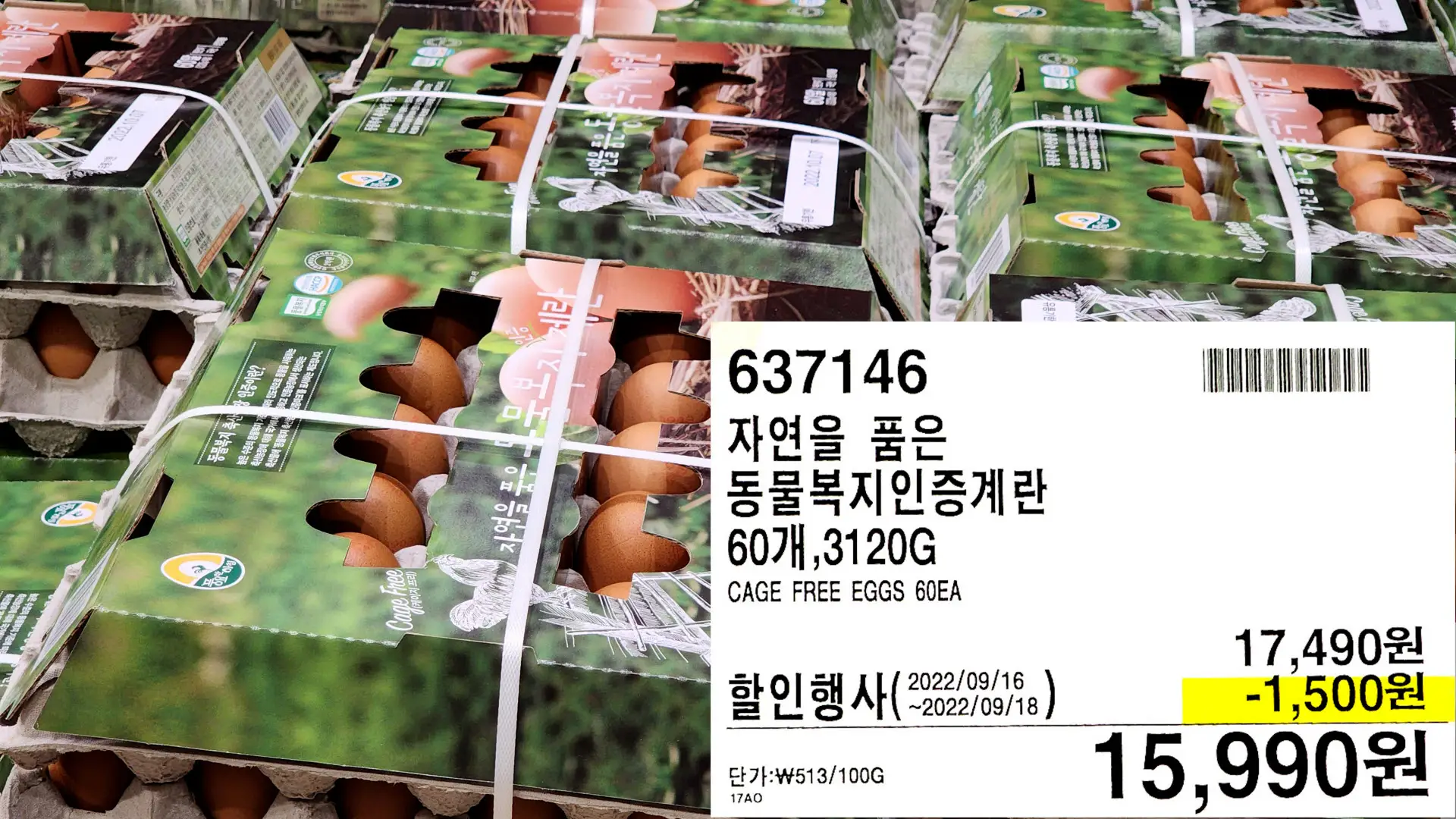 자연을 품은
동물복지인증계란
60개,3120G
CAGE FREE EGGS 60EA
15,990원