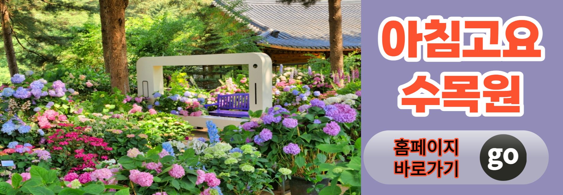 아침고요수목원 수국축제