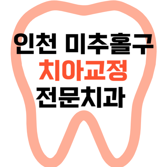 인천 미추홀구 치아교정 치과 잘하는 곳 전문 치과 추천 가격 비용.png