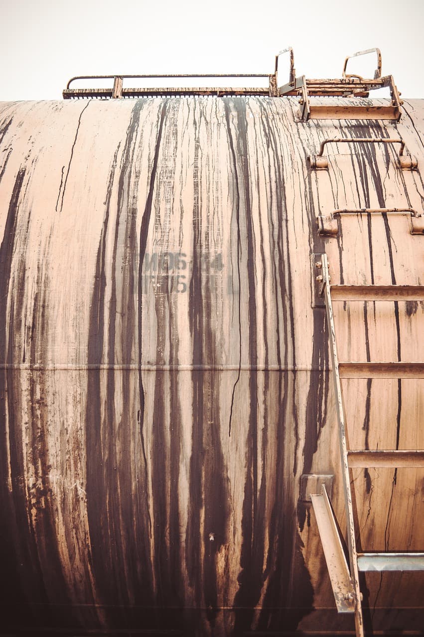 대형 폐수조가 인공 해양 생태계로 재탄생한 과정