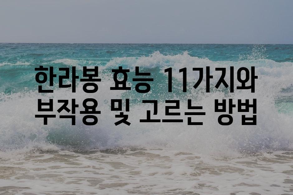 샘플 (89)