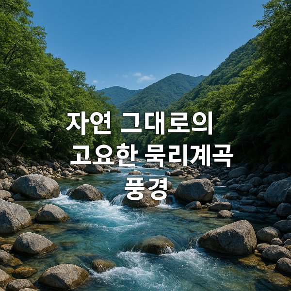 묵리계곡 ❘ 용인의 숨겨진 여름 피서지
