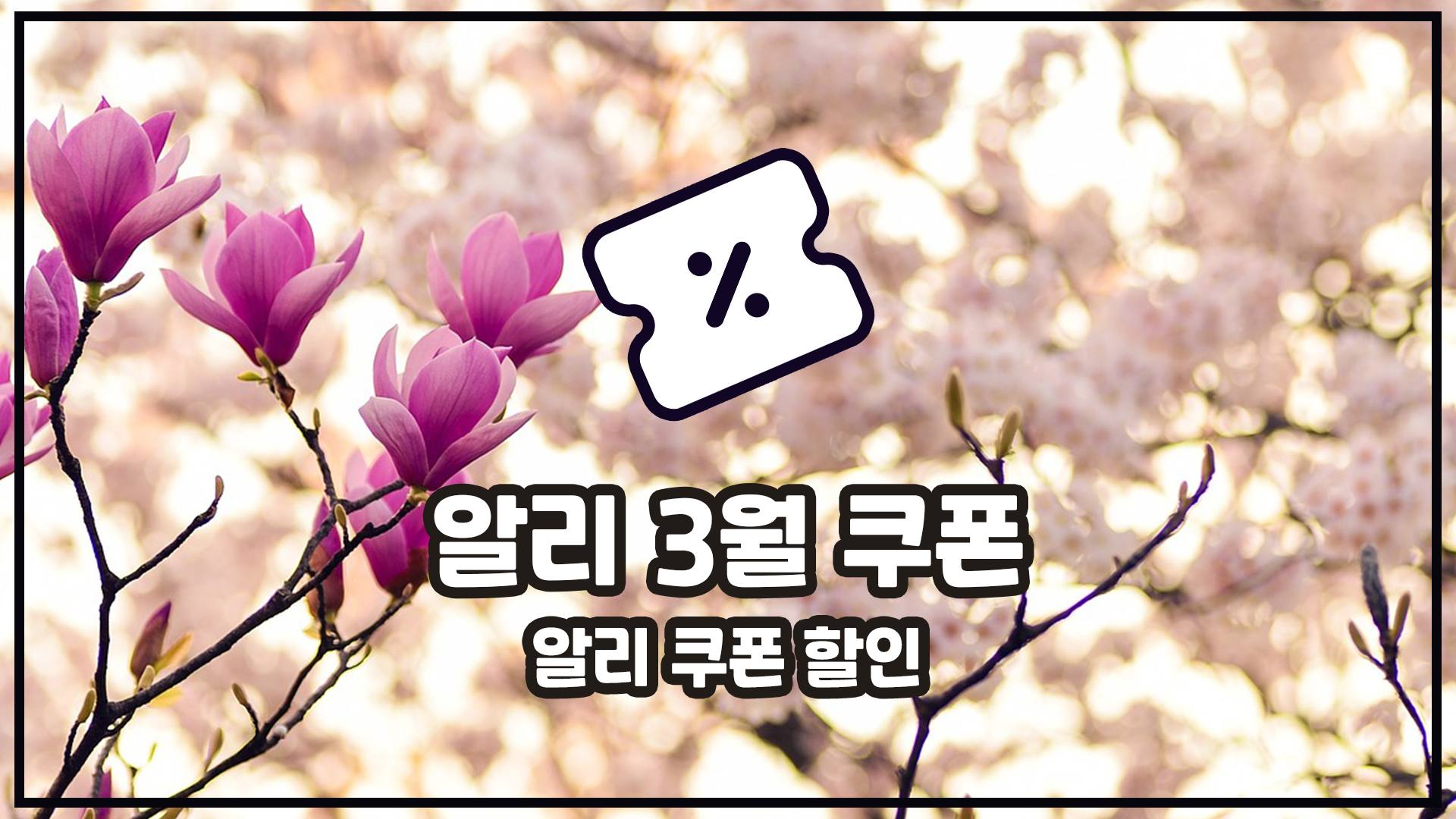 3월 알리 할인쿠폰