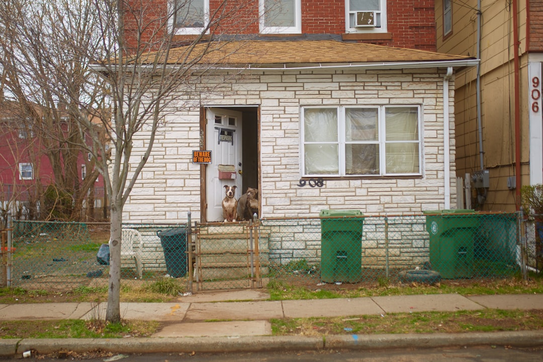 Reverse mortgage.