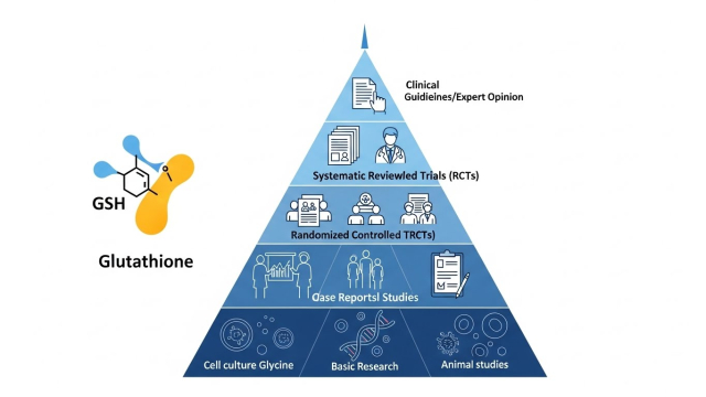 면역&middot;피로와 글루타치온 관계를 정리한 인포그래픽