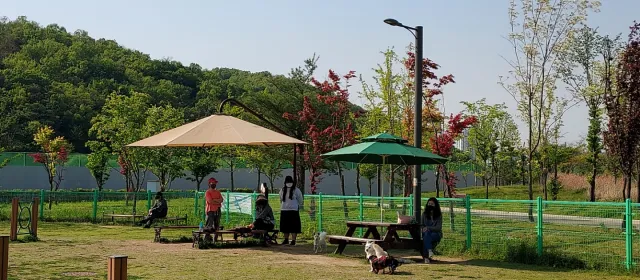 동탄여울공원 반려가족놀이터