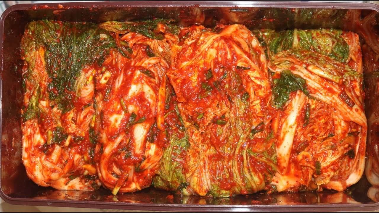 김장배추 파종시기