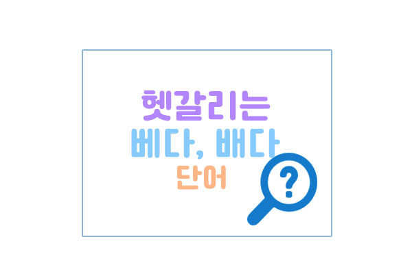 베다배다대표이미지