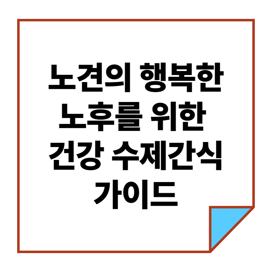 노견의 행복한 노후를 위한 건강 수제간식 가이드