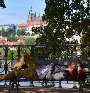 당귀 효능 부작용 뿌리 고르는법