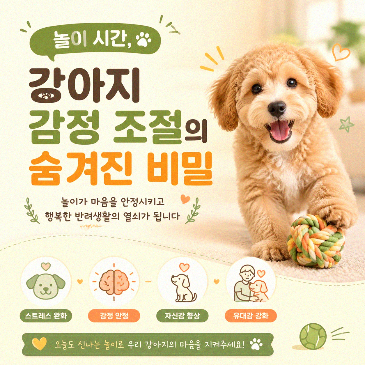 강아지 놀이 시간, 우리 아이 행동 달라지나요