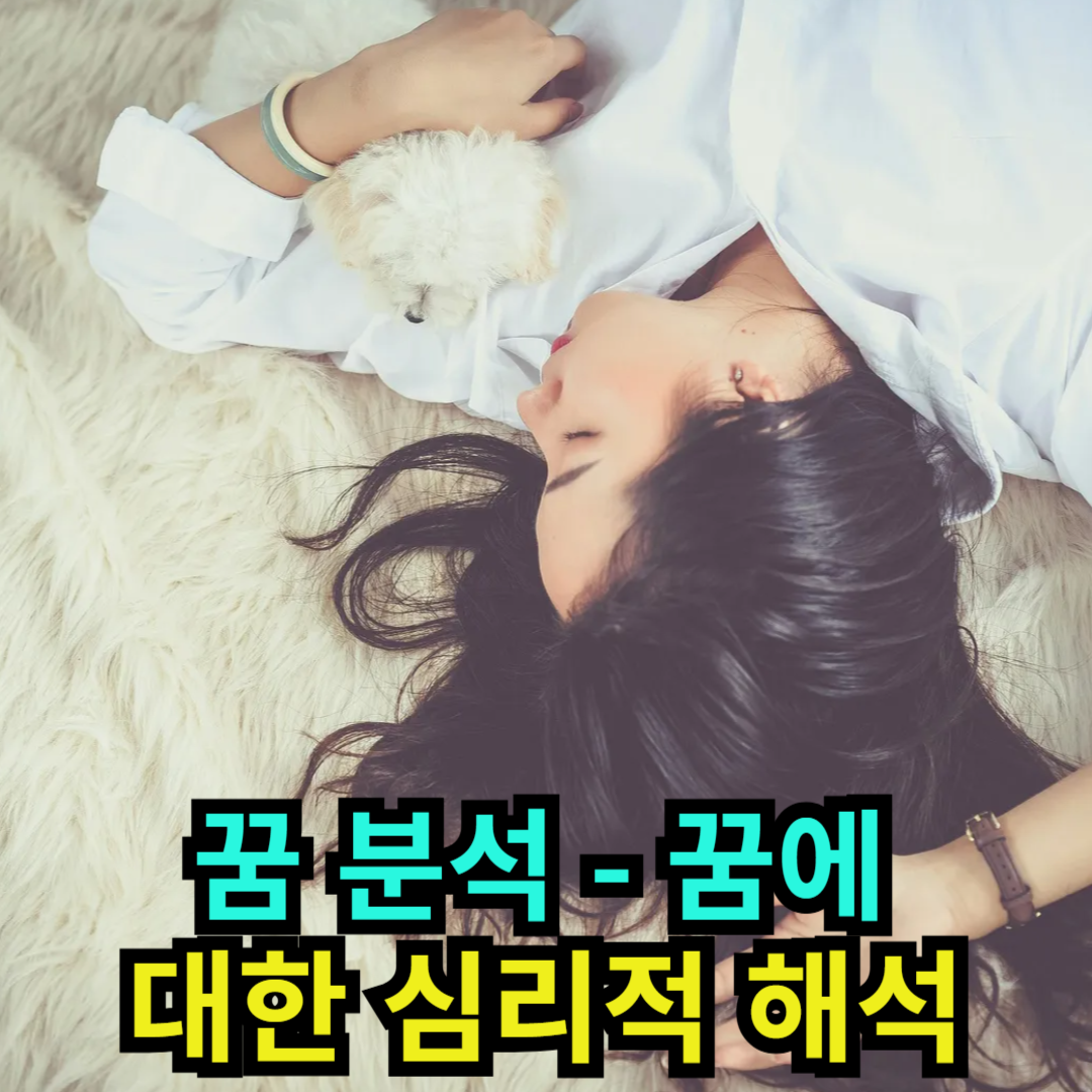 꿈 분석 - 꿈에 대한 심리적 해석