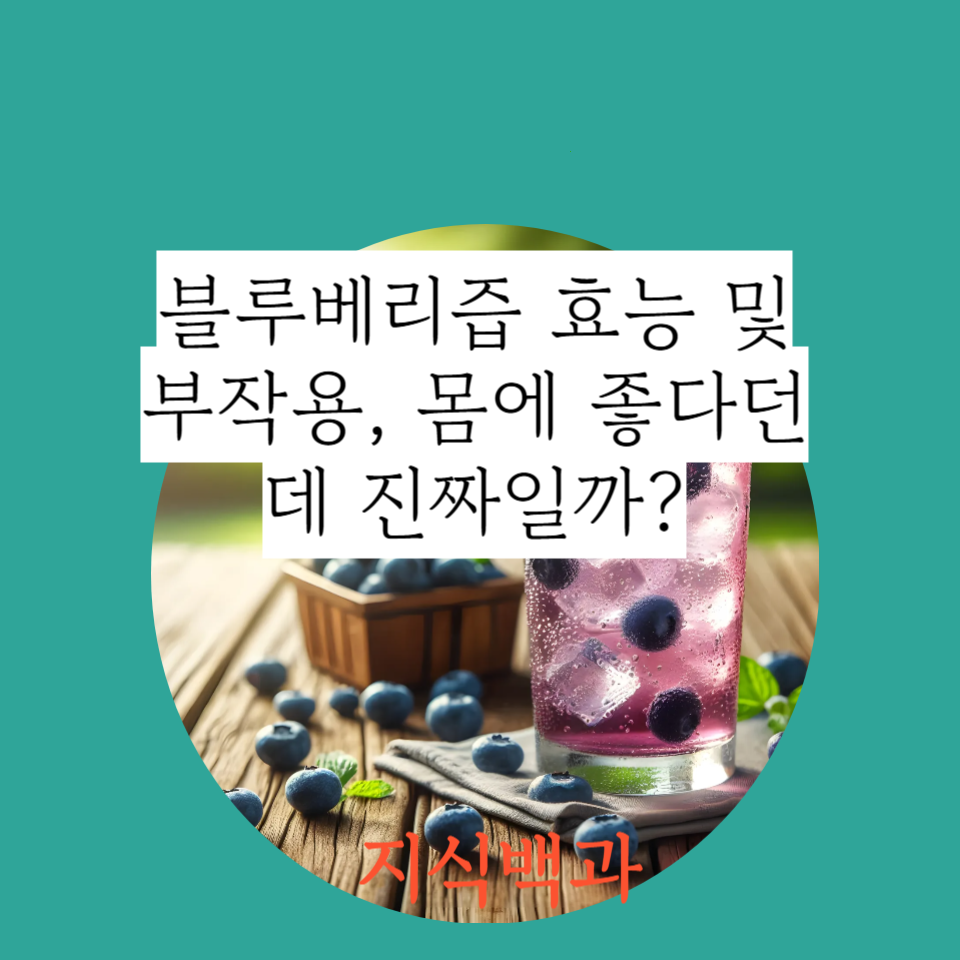 블루베리즙 효능 및 부작용, 몸에 좋다던데 진짜일까?