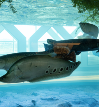 부산 명지 아쿠아 키즈카페 아쿠아플레이하우스