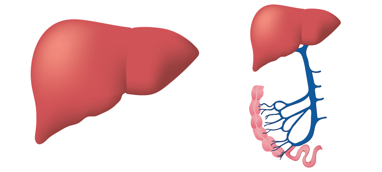 간 관련 이미지