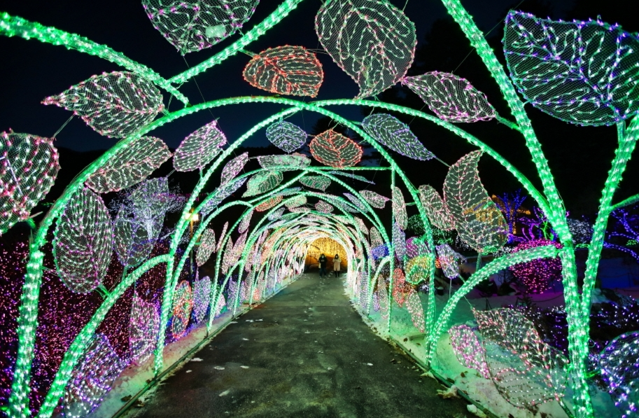 아침고요수목원-겨울관람-할인-예약으로-즐기는-모습들-사진