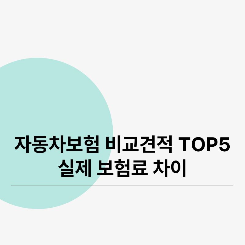 자동차보험 비교견적 TOP5 실제 보험료 차이