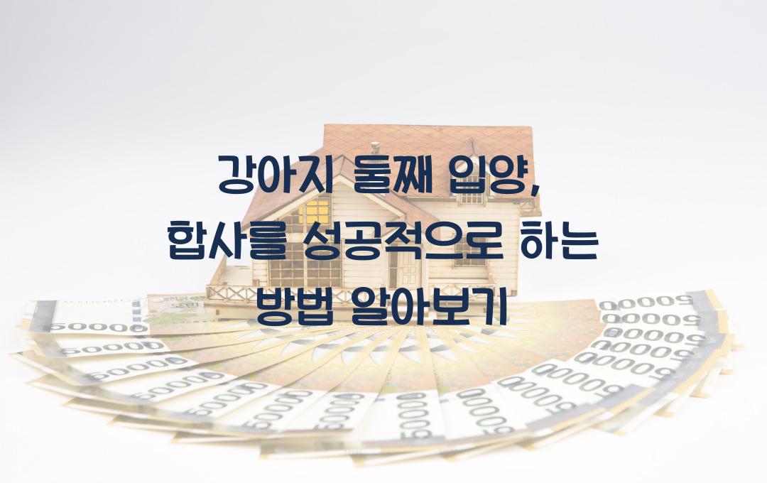 강아지 둘째 입양: 성공적인 합사를 위한 팁