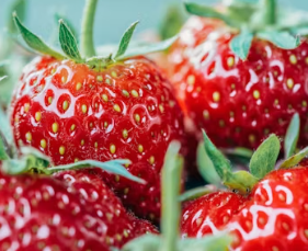 황반변성에 좋은 음식 영양제 식단