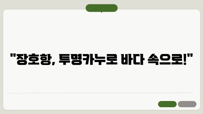 8월 가볼 만한 곳, 소셜 장호항 투명카누 체험하기