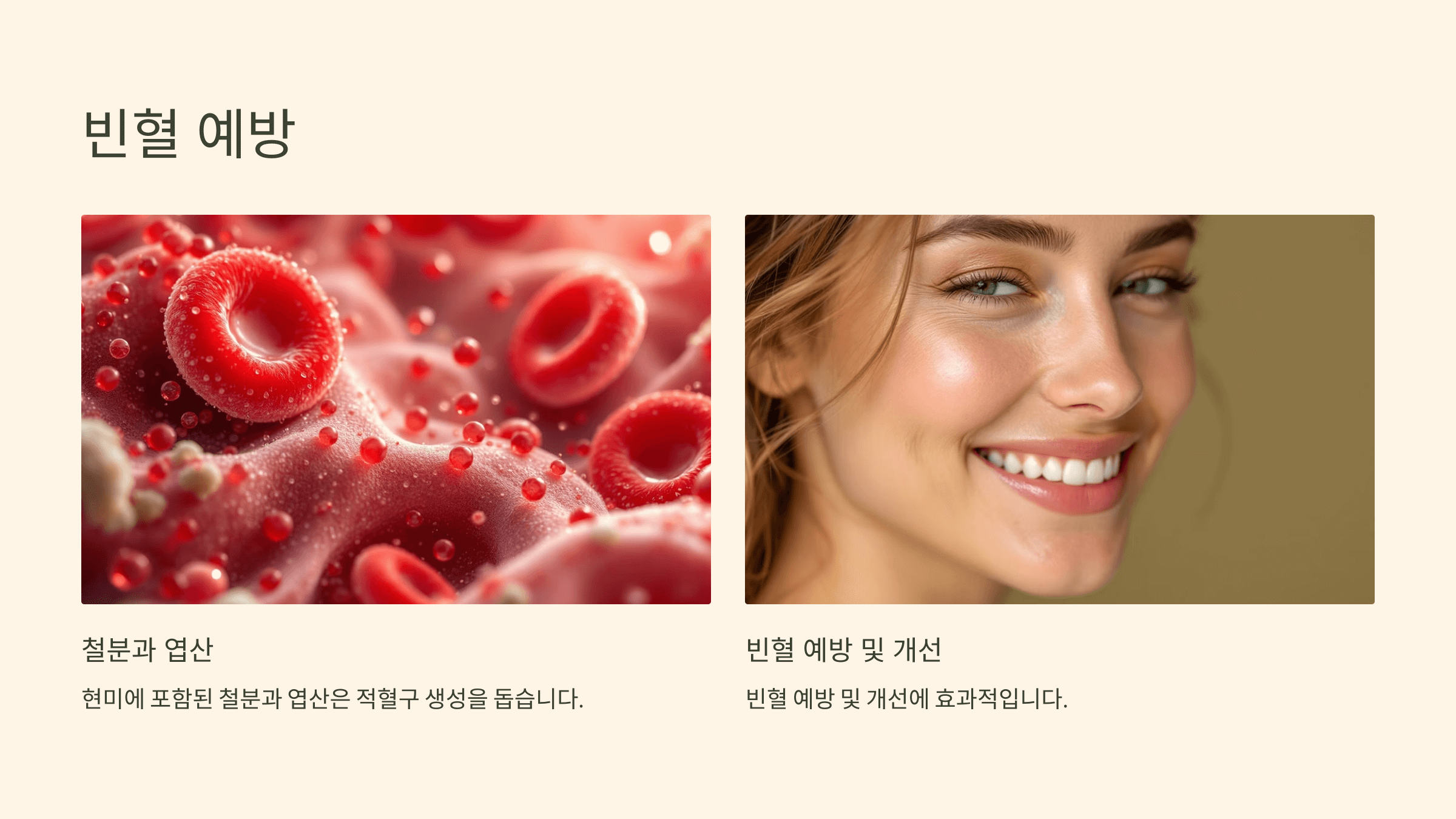 현미 사진입니다.