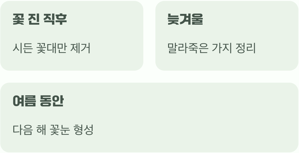 비결 4. 그대로의 멋, '가지치기'는 최소한으로