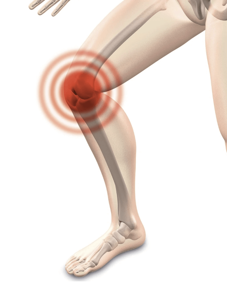 다이어트 홈트 대신 홈트트 하체운동 해야되는 이유 하체근육의 중요성