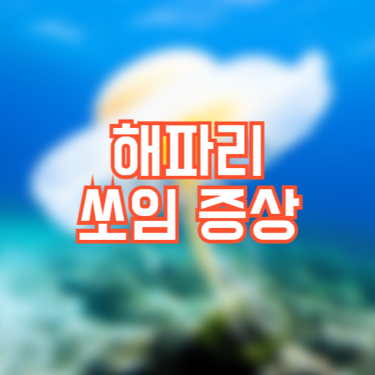 해파리 쏘임 증상, 응급처치방법!