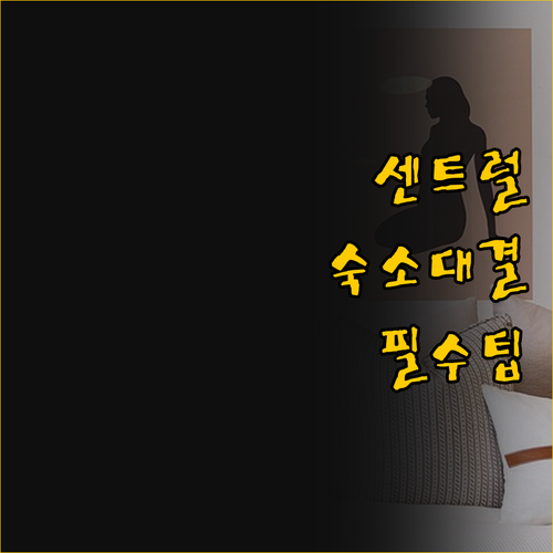 미니 센트럴과 이비스 홍콩 센트럴 앤..