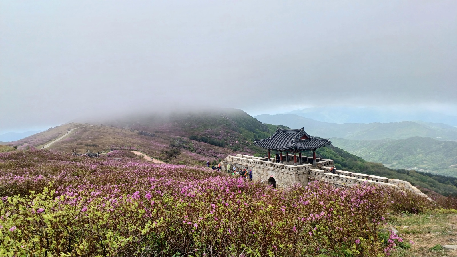 합천 황매산 철쭉42