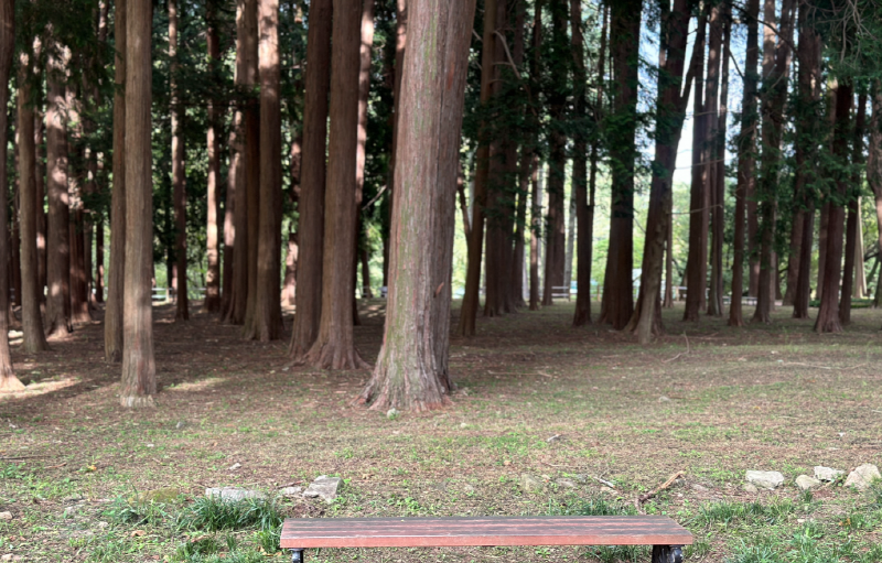 양산 법기수원지